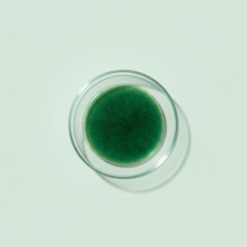 Nannochloropsis Oculata Extract